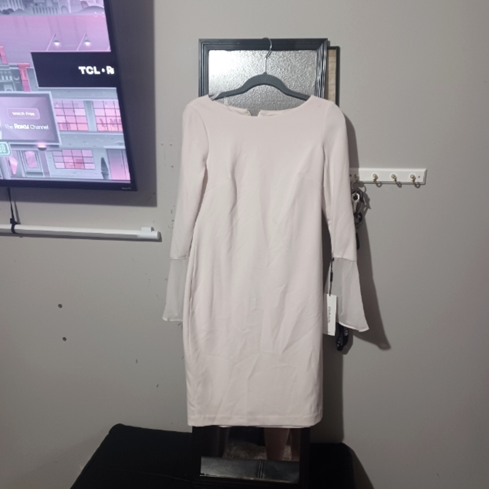Calvin Klein light pink or peach size 8p dress ruffled sleeve